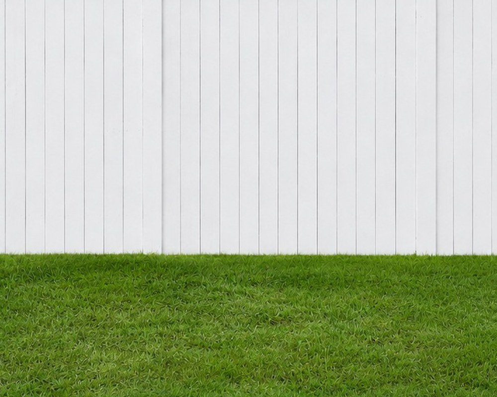 Fence painting service in Wellington by Mashal Team