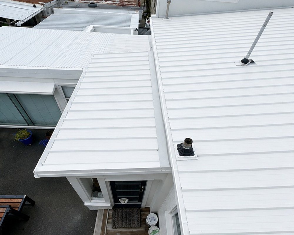 Roof painting service in Wellington by Mashal Team
